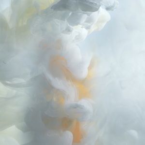 Meet your Posher, Jared